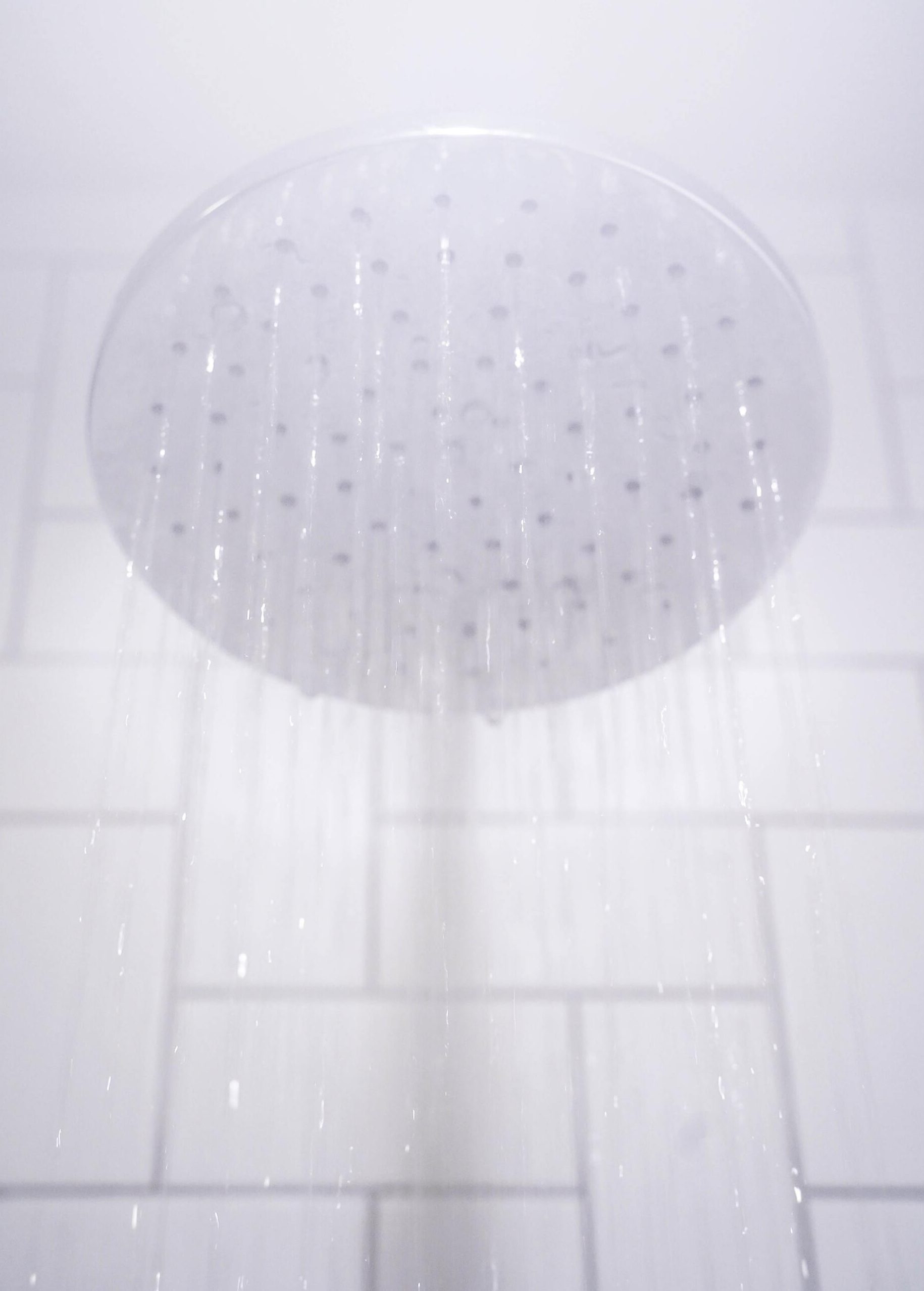 shower head