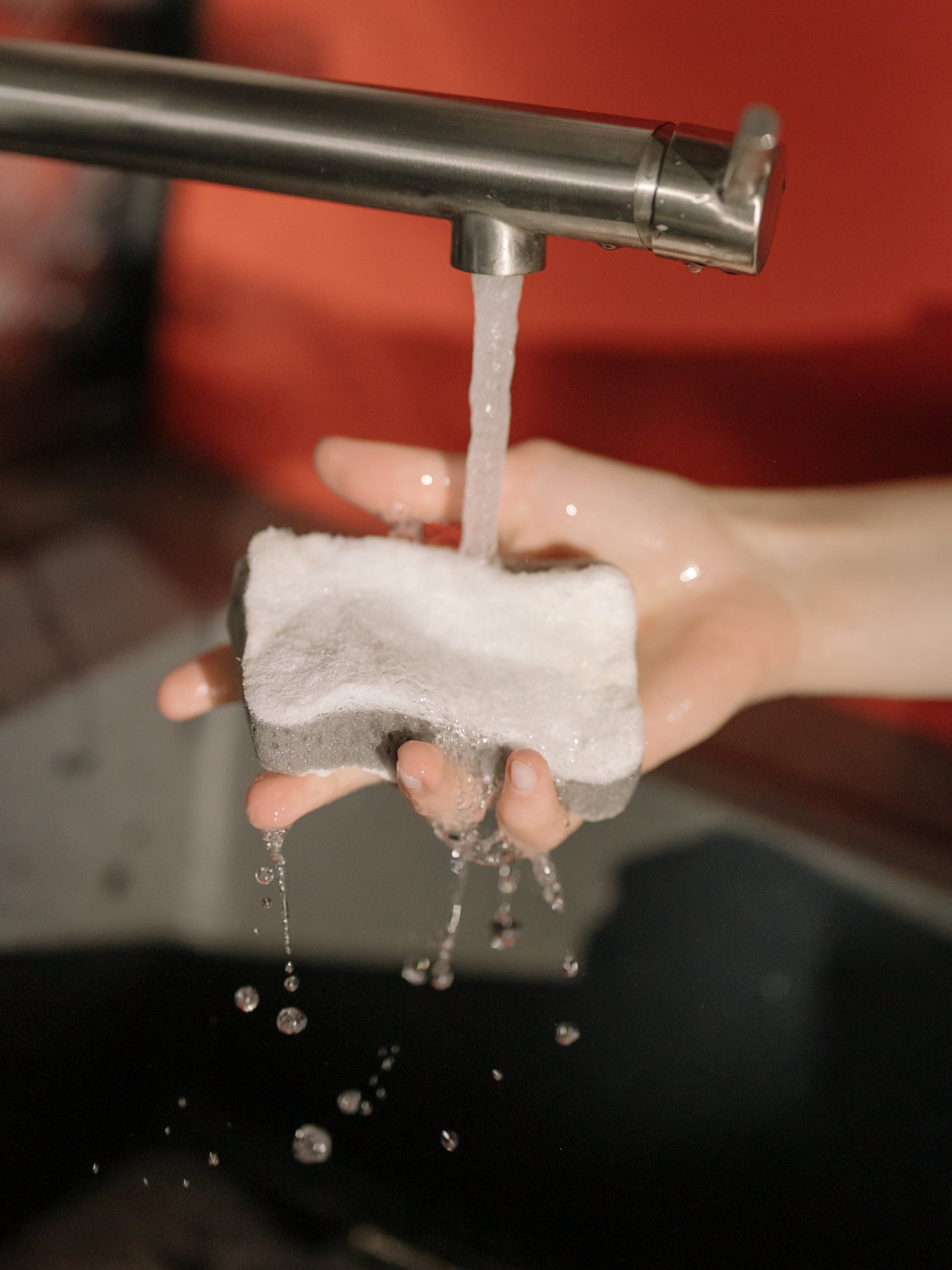 soap on a sponge